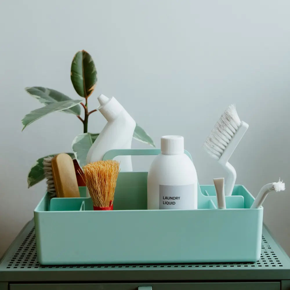“Cleaning and household supplies – tools, detergents, and essentials for a spotless home – Hot Deal Warehouse”