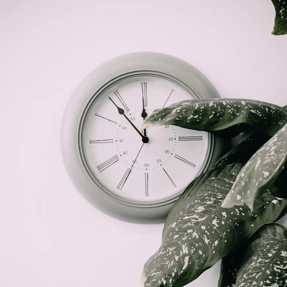 “Clocks – modern and classic wall and desk clocks for home or office – Hot Deal Warehouse home décor”