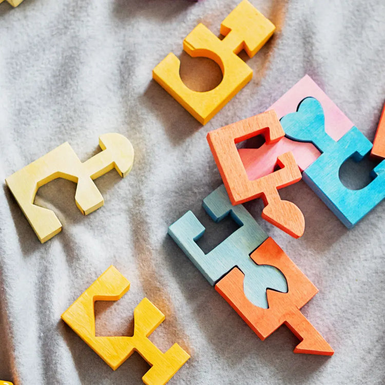 Puzzle Toys Collection