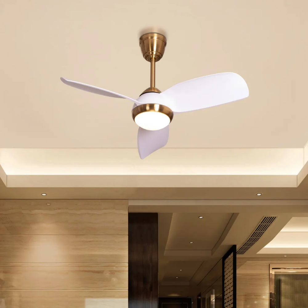 “Fans – energy-efficient cooling solutions for every room – Hot Deal Warehouse appliances”