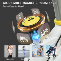 Indoor Exercise Bike Hot Deal Warehouse