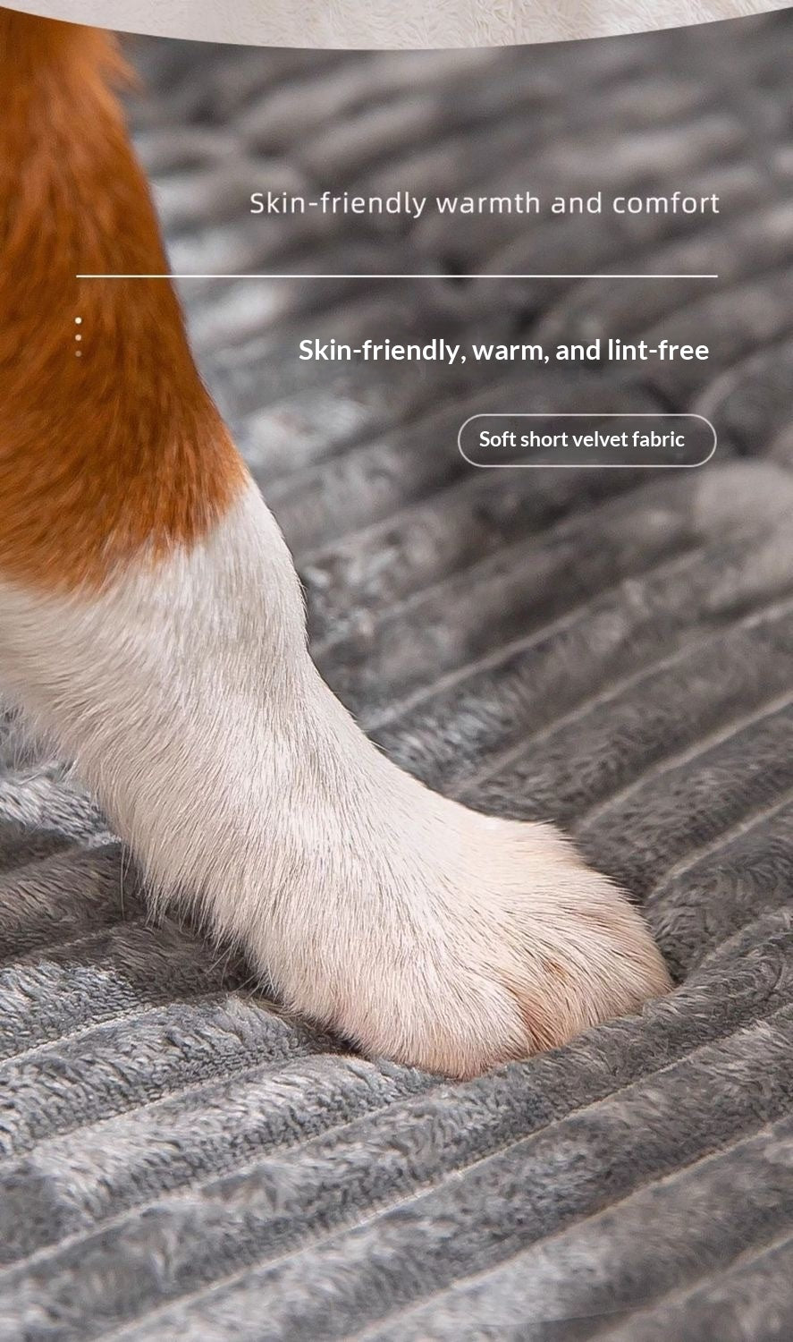 pet bed for dogs Australia online