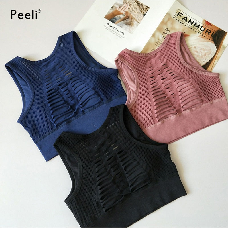 Seamless Padded Sports Bra High Impact Hot Deal Warehouse