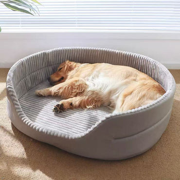 dog bed Australia online