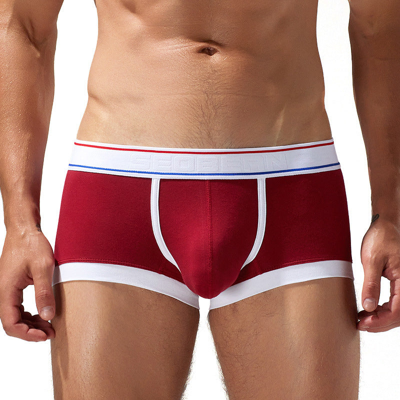 “Alpha Trunks – men’s comfortable, supportive trunks with a modern fit for everyday wear – Hot Deal Warehouse underwear”



