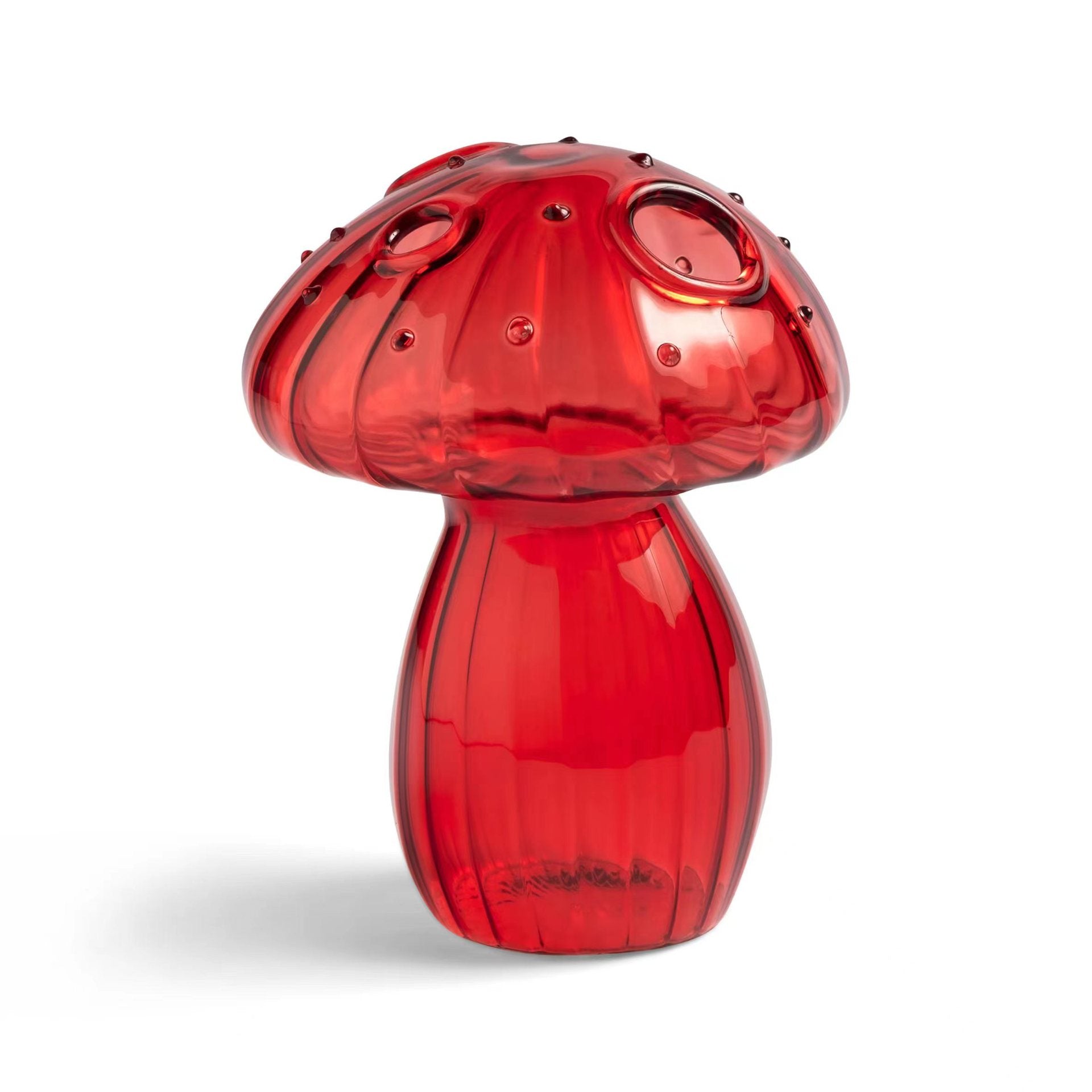 Clear glass mushroom-shaped vase with hydroponic plant and flowers on a minimalist home table

