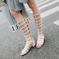 “Chicago Low Heel Sandal – women’s stylish low heel sandals designed for comfort and all-day wear, perfect for casual or dressy looks – Hot Deal Warehouse footwear”









