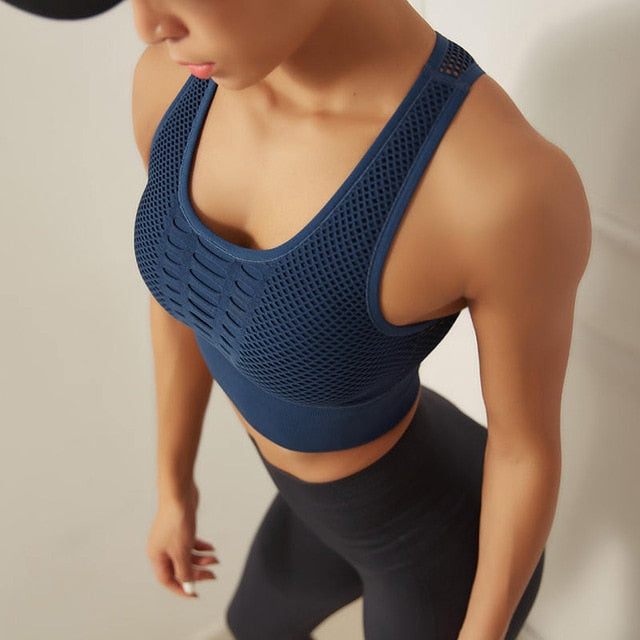 Seamless Padded Sports Bra High Impact Hot Deal Warehouse