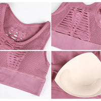 Seamless Padded Sports Bra High Impact Hot Deal Warehouse