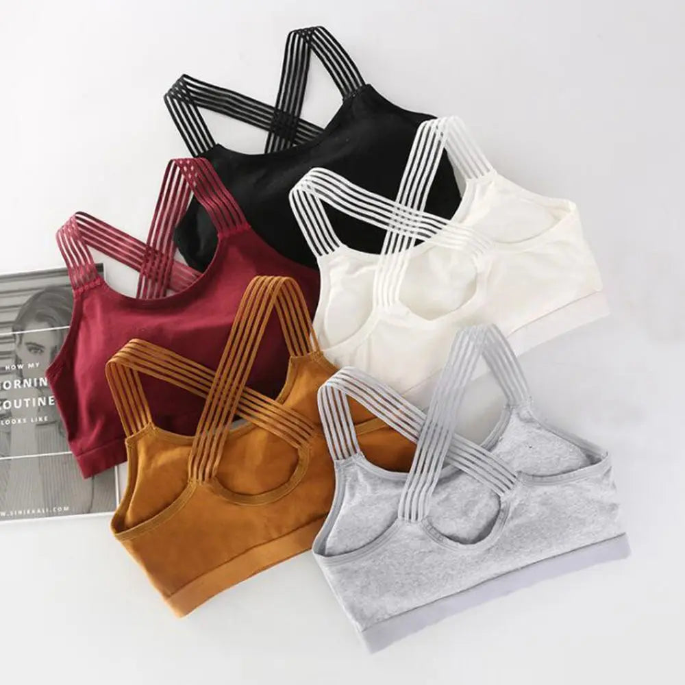 “Azura Seamless Sports Bra – women’s comfortable, supportive activewear bra with a seamless design for workouts and everyday wear – Hot Deal Warehouse fitness apparel”

