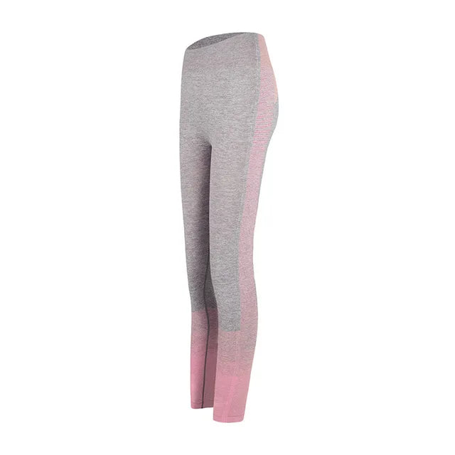 Women’s Seamless Yoga Set Hot Deal Warehouse
