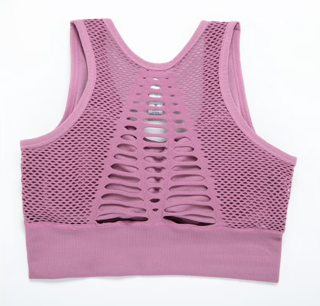 Seamless Padded Sports Bra High Impact Hot Deal Warehouse