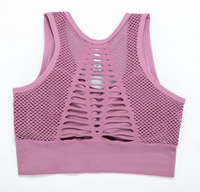 Seamless Padded Sports Bra High Impact Hot Deal Warehouse
