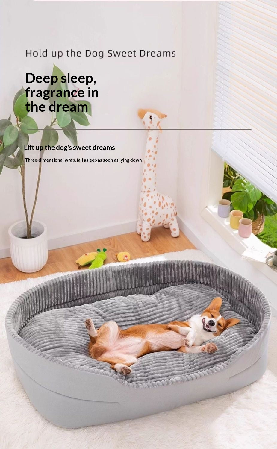affordable dog beds Australia