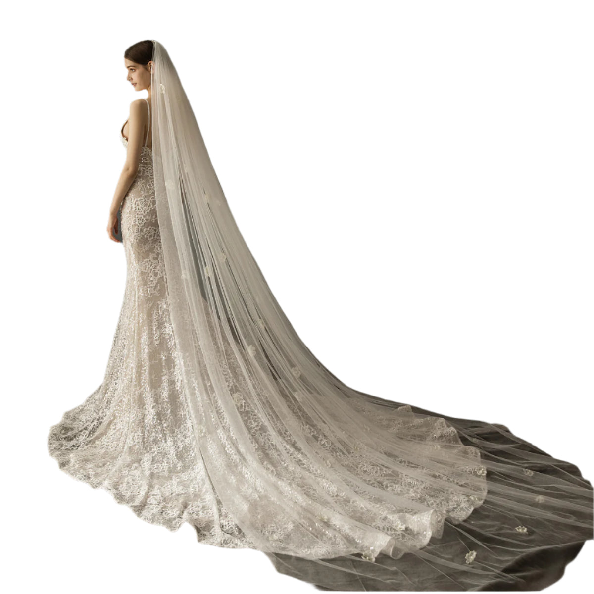 Elegant bridal church wedding veil with pearl embellishments and a long flowing tulle train for a timeless look.

