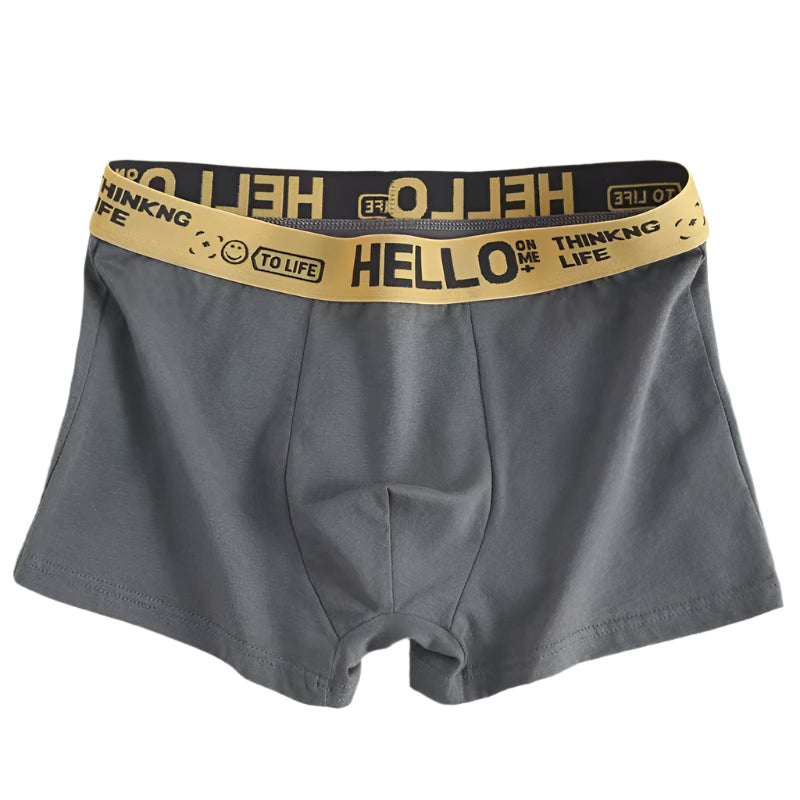 “Four Seasons Trunks – men’s comfortable, breathable trunks designed for year-round wear and everyday support – Hot Deal Warehouse underwear”

