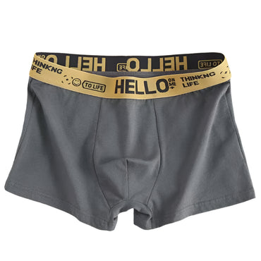 “Four Seasons Trunks – men’s comfortable, breathable trunks designed for year-round wear and everyday support – Hot Deal Warehouse underwear”

