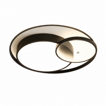 A modern circular ceiling light fixture with concentric rings in a dark bronze or black finish, featuring a warm white illuminated diffuser and a smaller overlapping ring on the right, shown against a plain white background.